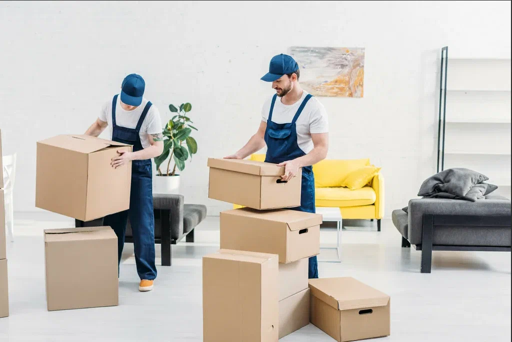 Movers and Packers Dubai