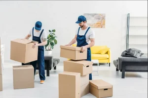 Movers and Packers Dubai